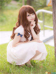 青蜂侠2011